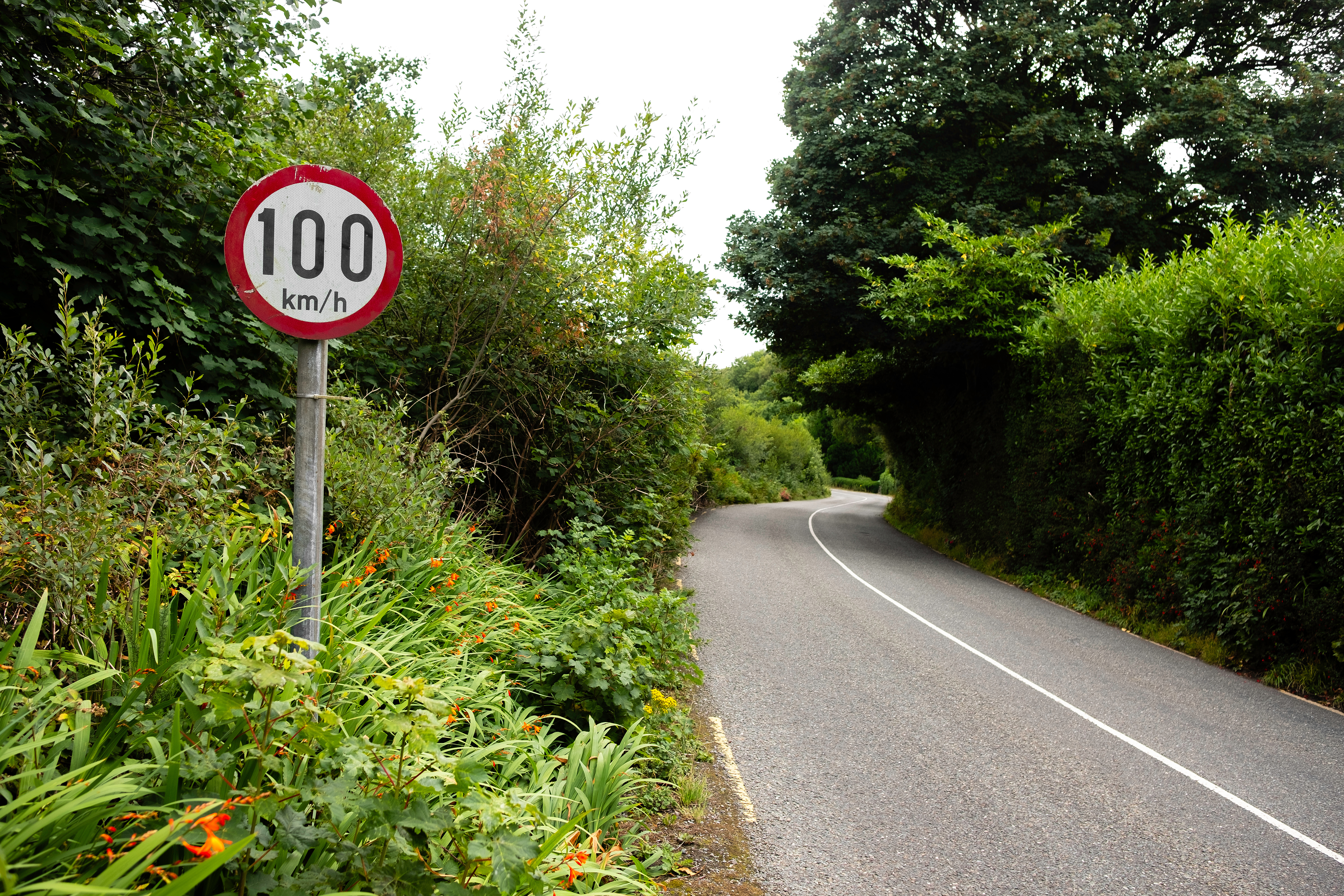 Speed Awareness - ROI (Van/LCV)
