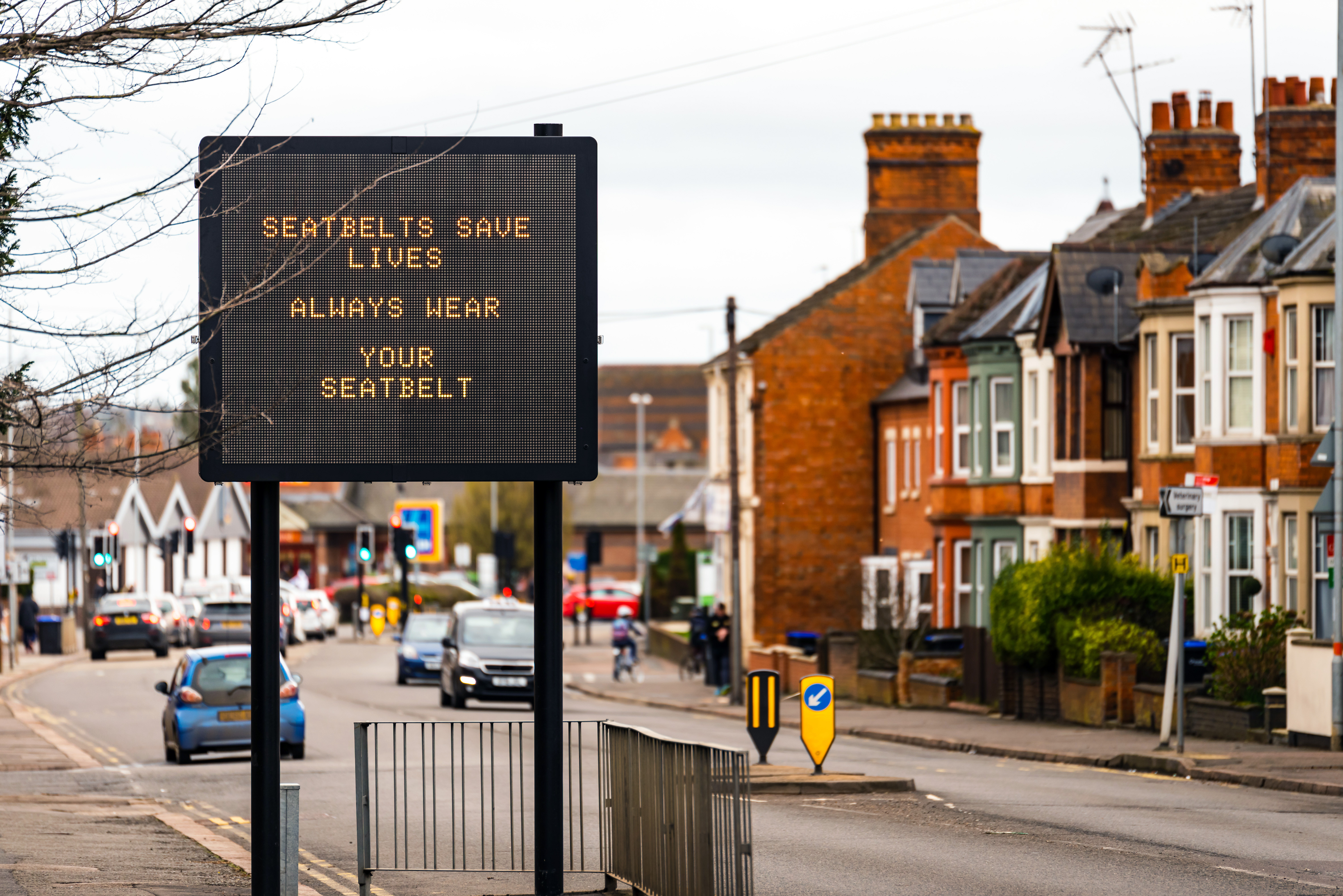 Seatbelts - Car (Bite Sized)