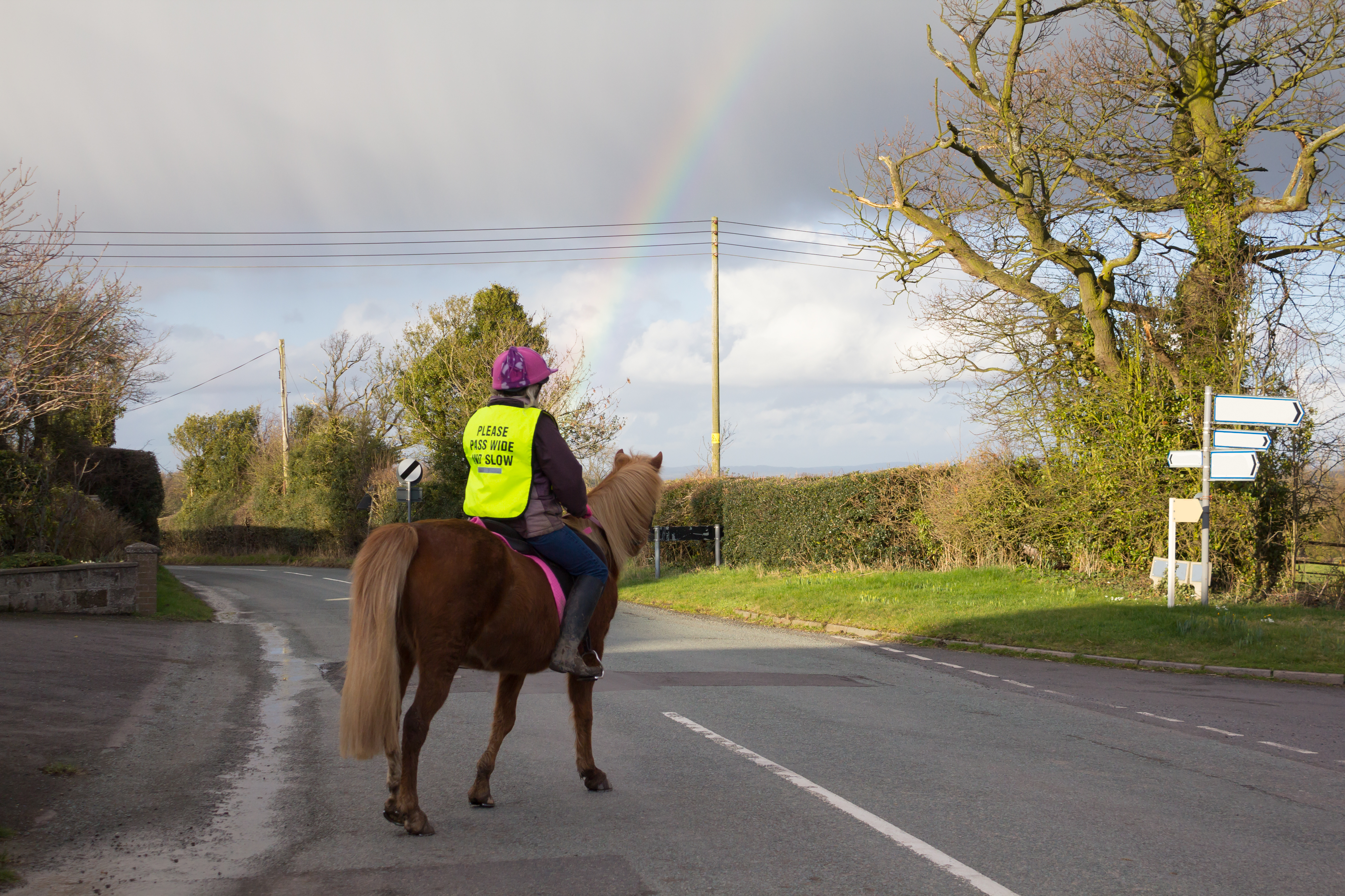 Vulnerable Road Users - PCV (Bite Sized)