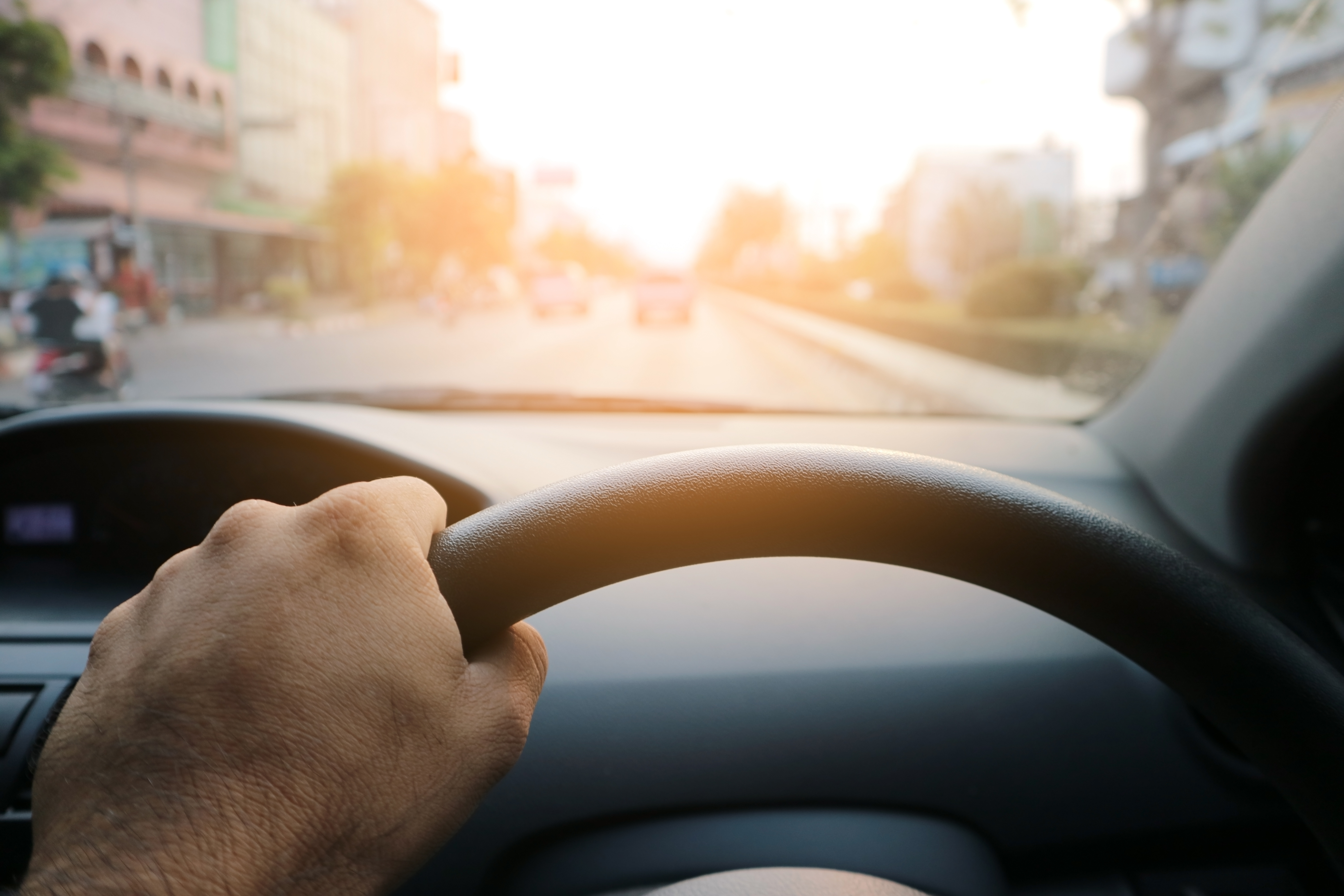 Summer & Winter Sun - PCV (Bite Sized)